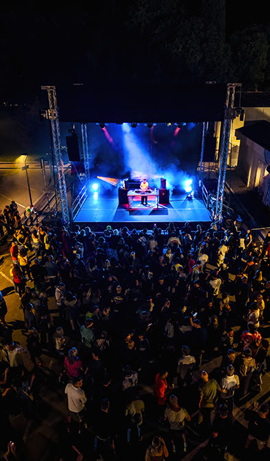 Concerto serale alla Festa dell'Uva