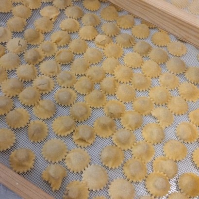 anolini-team-buliding-ncl