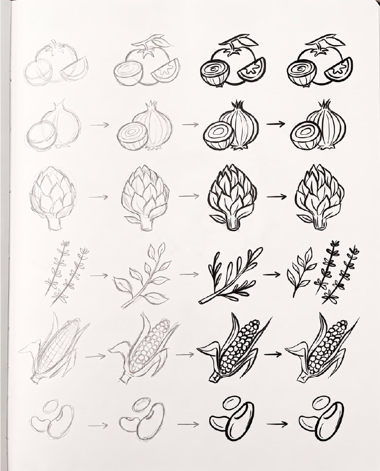 Studio delle icone degli ingredienti disegnate per il back panel del packaging